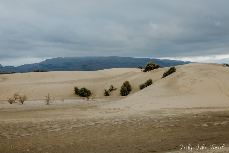 the dunes of Dunas de Maspalomas