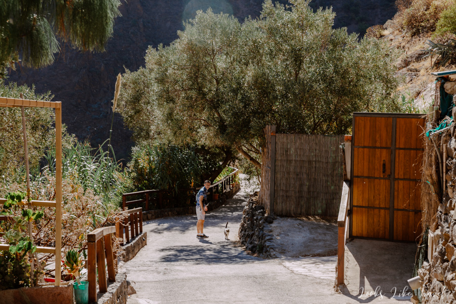 spacer po wąwozie Barranco de Guayadeque