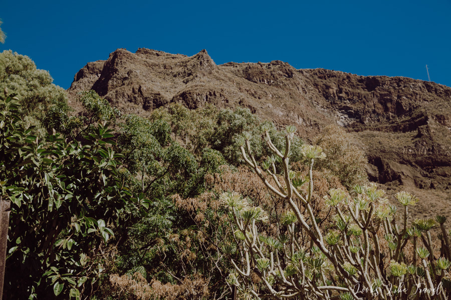 view of the green valley, Cuevas Barmejas