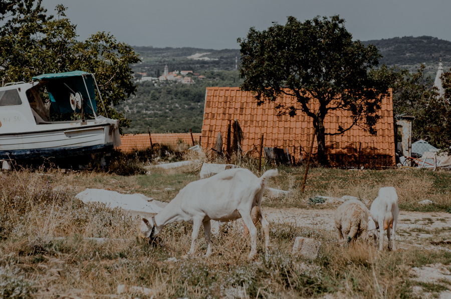 climatic village, Brač island