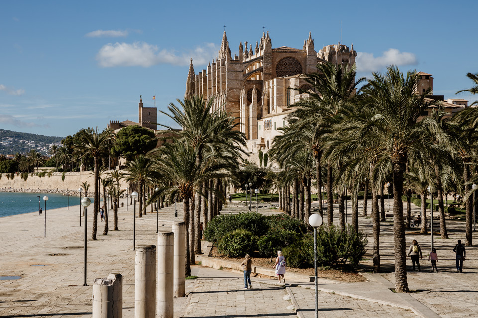 Palma de Mallorca katedra