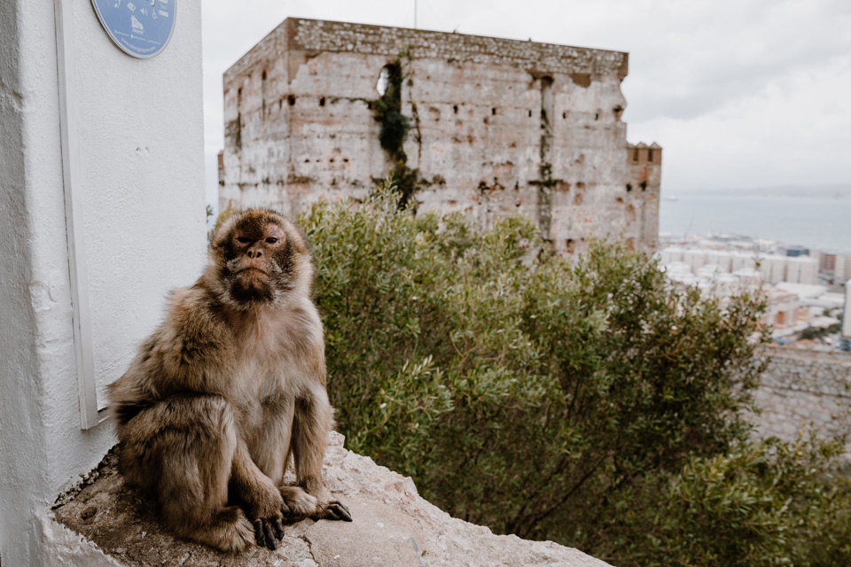 Gibraltar- Moorish Castle